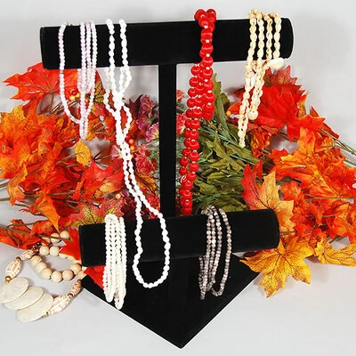 Double T-Bar Display- 9 3/8" x 10 7/8"H