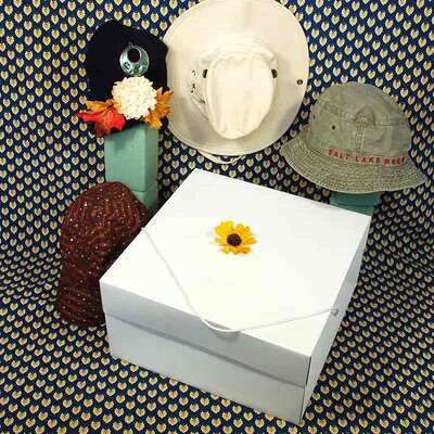Hat Box- 14" x 14" x 7"- 25/case-