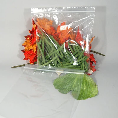 Resealable Large Storage and Freezer Bags- Zip Seal- 10 9/16" x 11"- 2 Mil- 1 Gallon Size- 200/Box