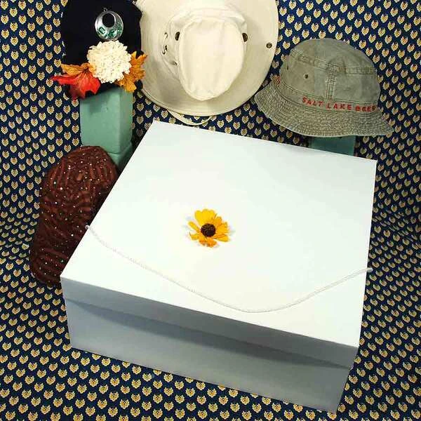 Hat Box- 18" x 18" x 7"- 25/case-