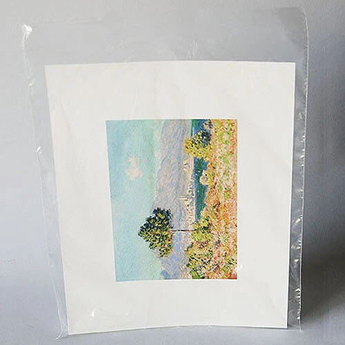 Poly Bags- Lay Flat Open End- 9" x 12"- 1 Mil- 1,000/box
