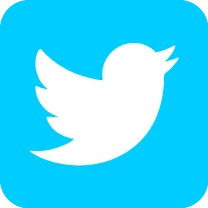 Twitter/X Icon